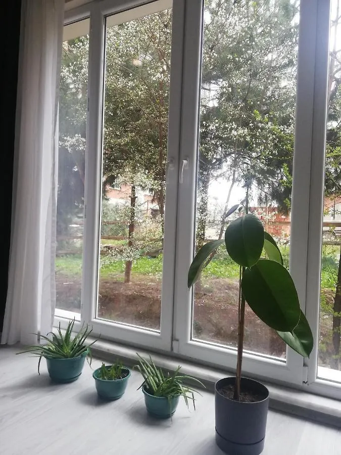 Homestay Huzur Evim Apartment Istanbul